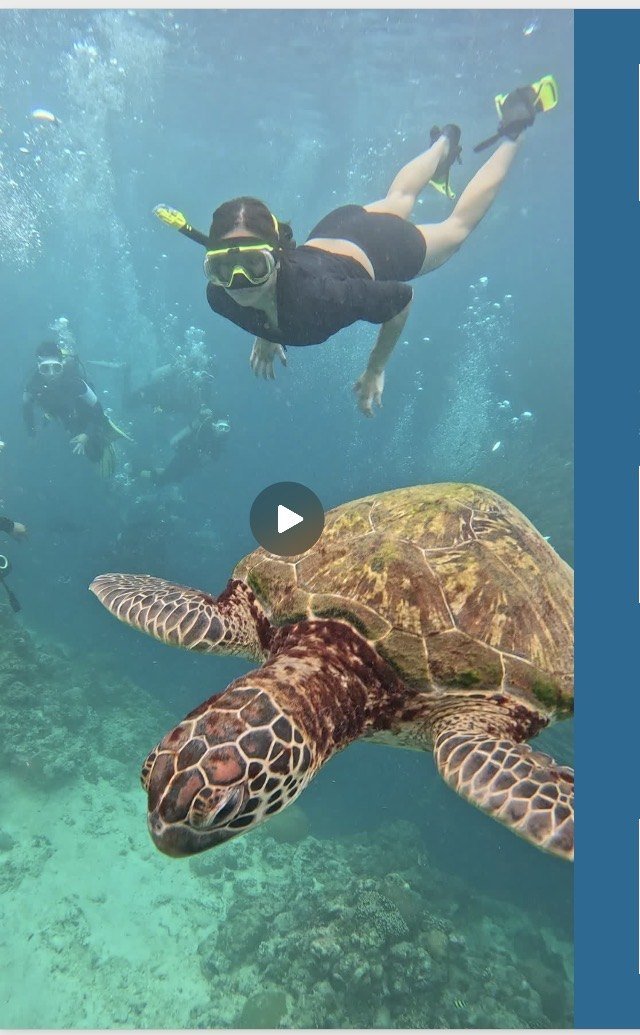 Kawasan Canyoneering + Sardines & Turtle Chase